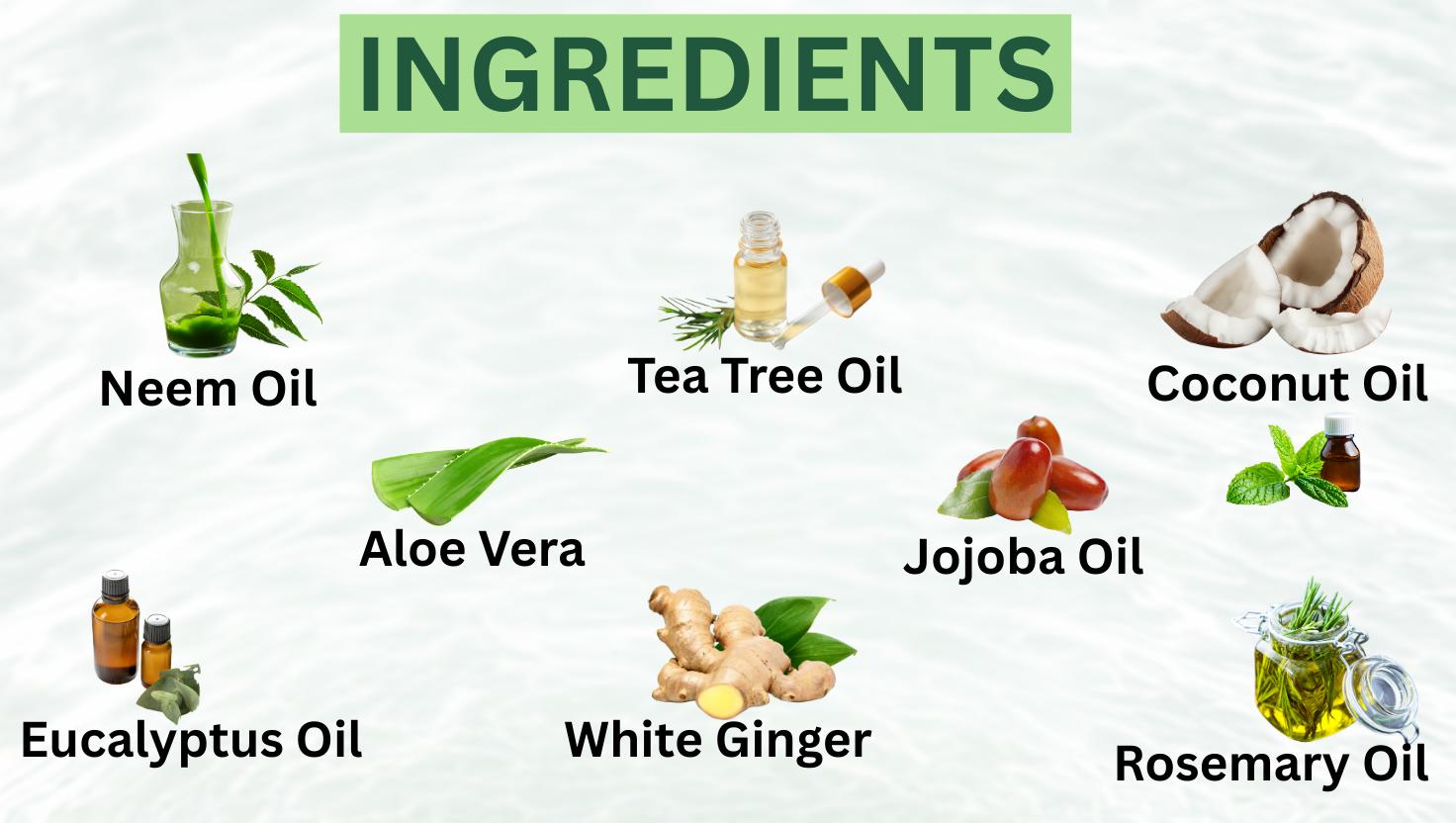 Tea Tree Oil Rash, Itch and Fungus Bar Soap